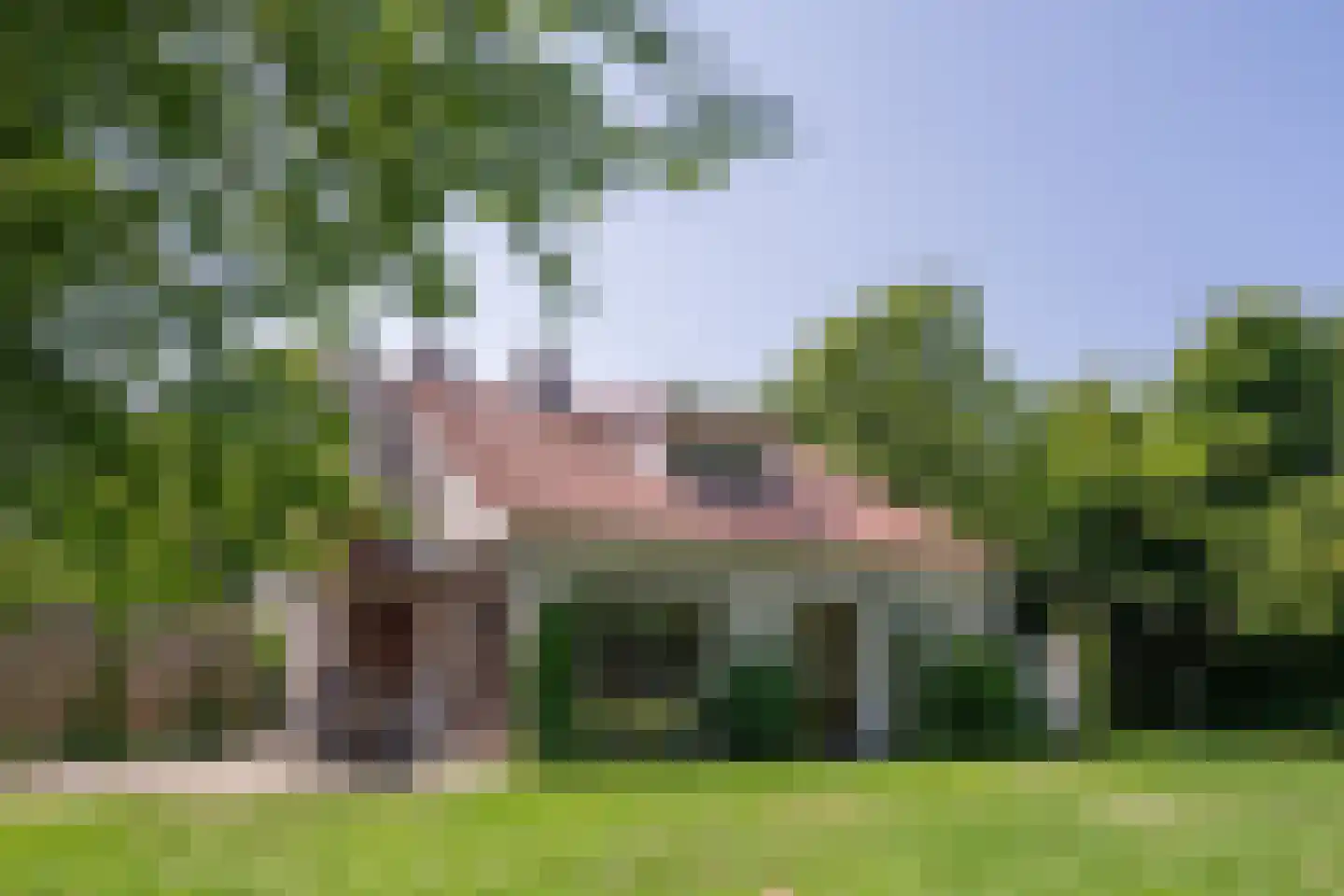 Roggeslootweg 599 De Cocksdorp thumbnail 36