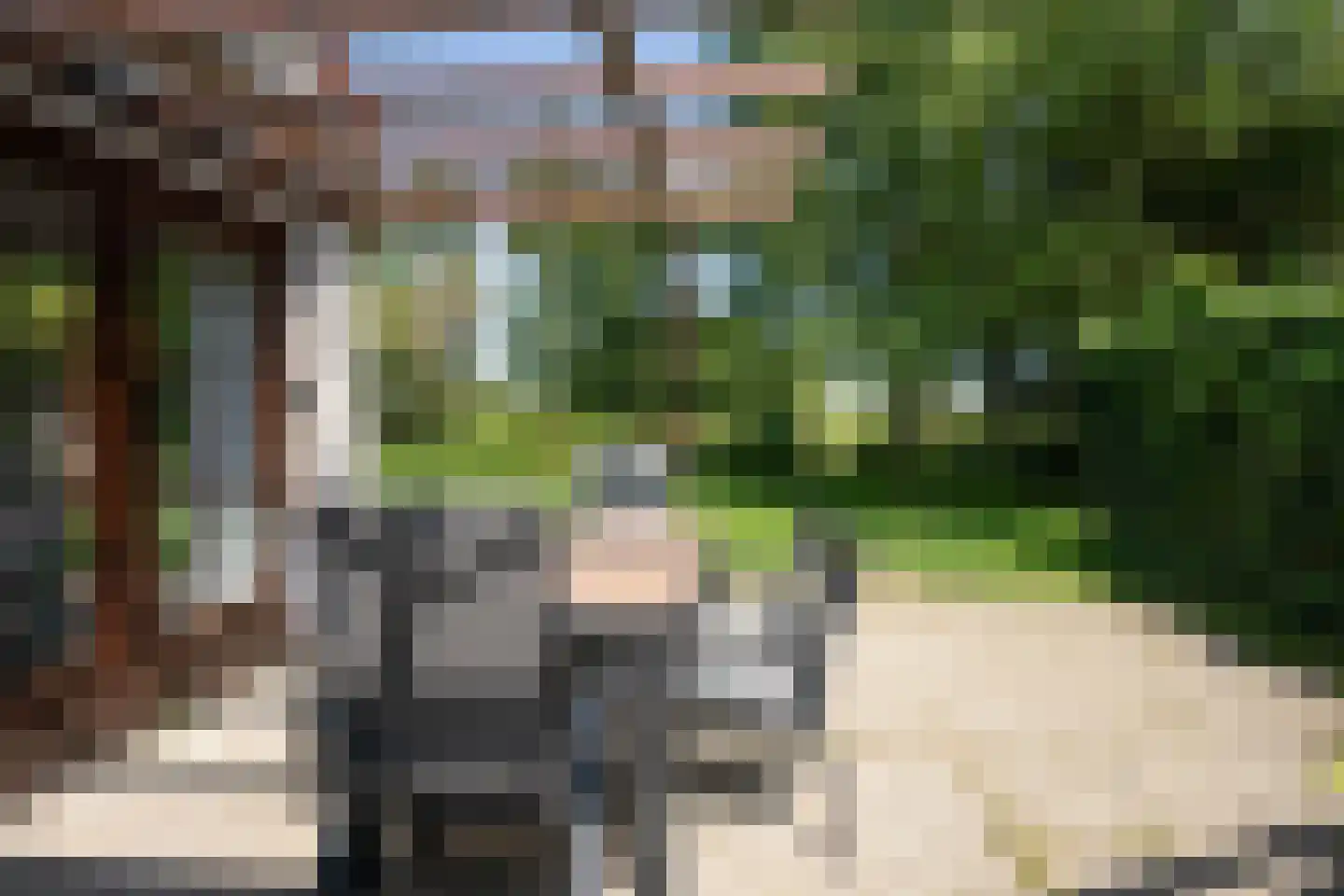 Roggeslootweg 599 De Cocksdorp thumbnail 37