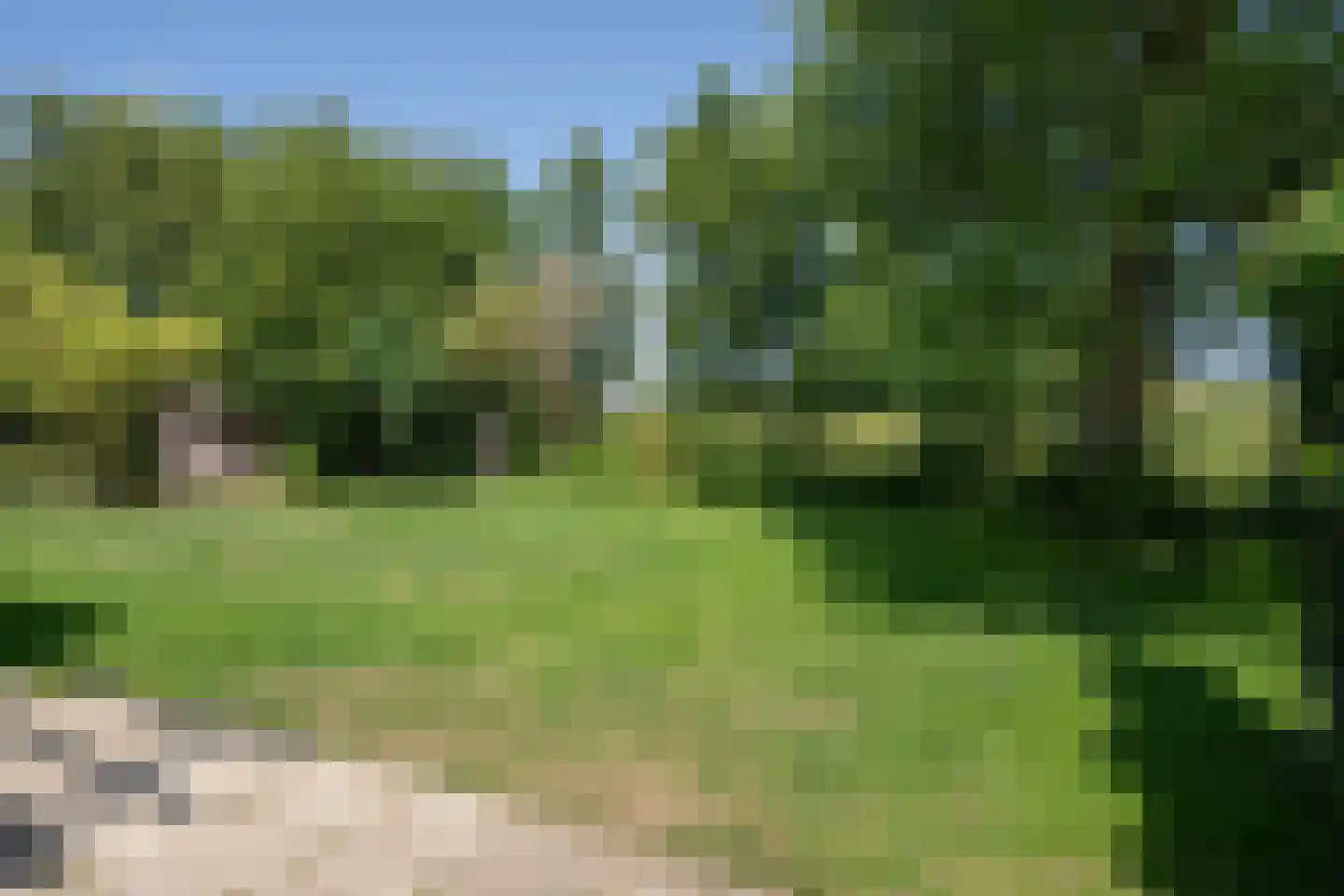 Roggeslootweg 599 De Cocksdorp thumbnail 38