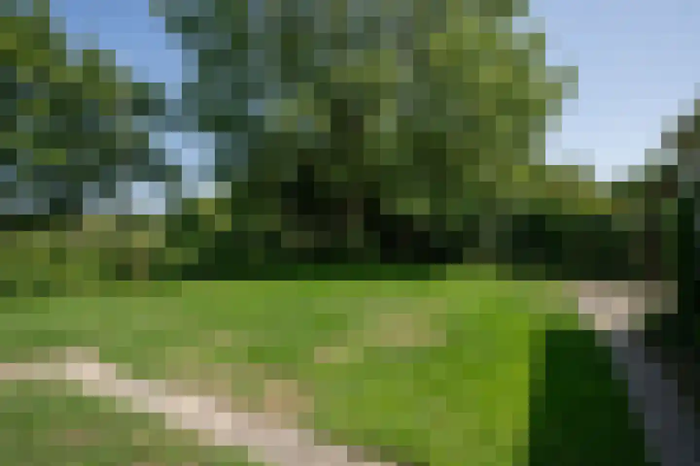 Roggeslootweg 599 De Cocksdorp thumbnail 39