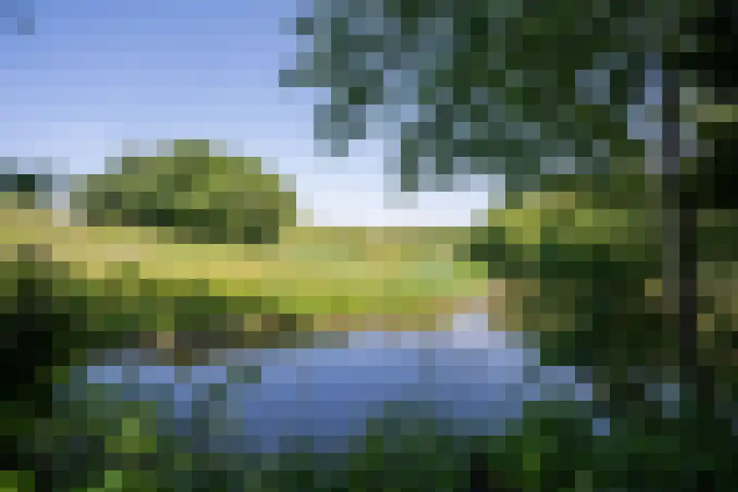 Roggeslootweg 599 De Cocksdorp thumbnail 4