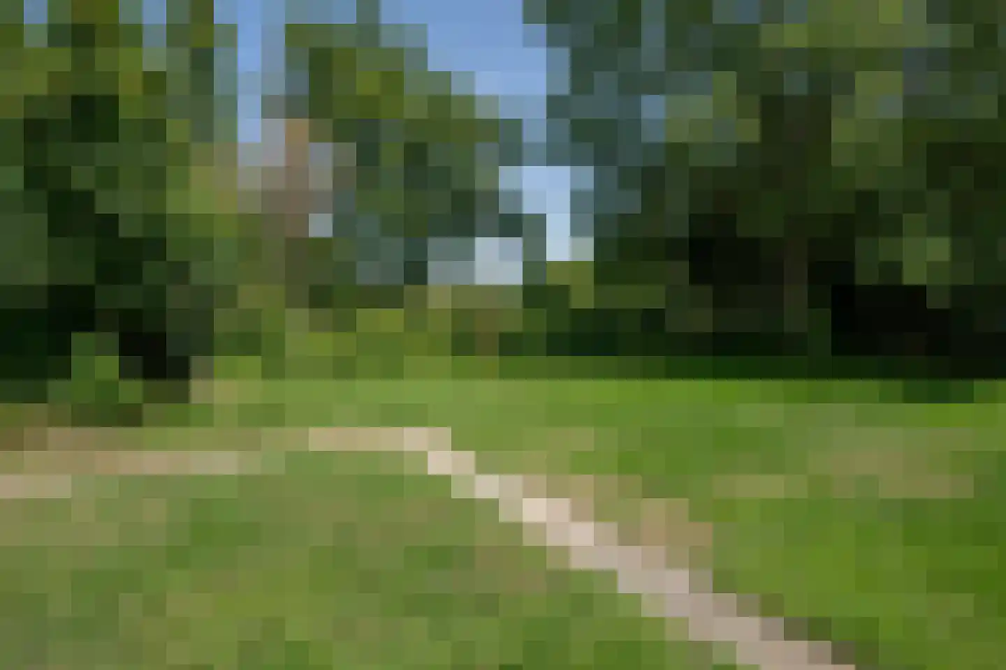Roggeslootweg 599 De Cocksdorp thumbnail 40