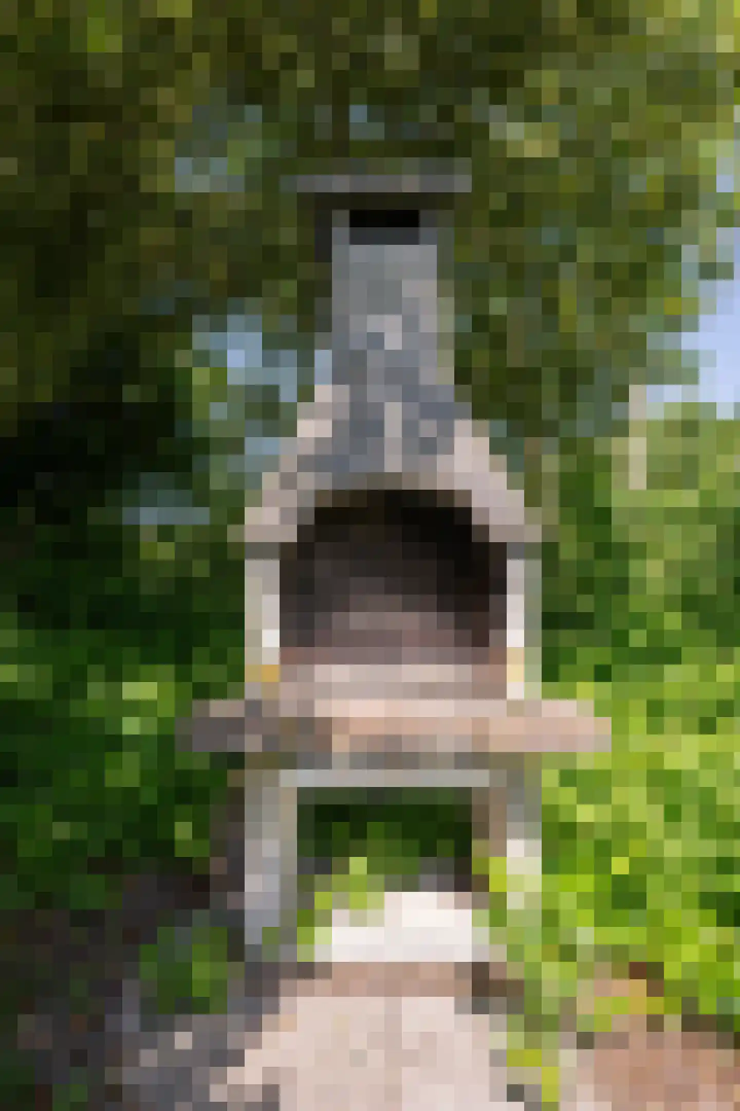 Roggeslootweg 599 De Cocksdorp thumbnail 43