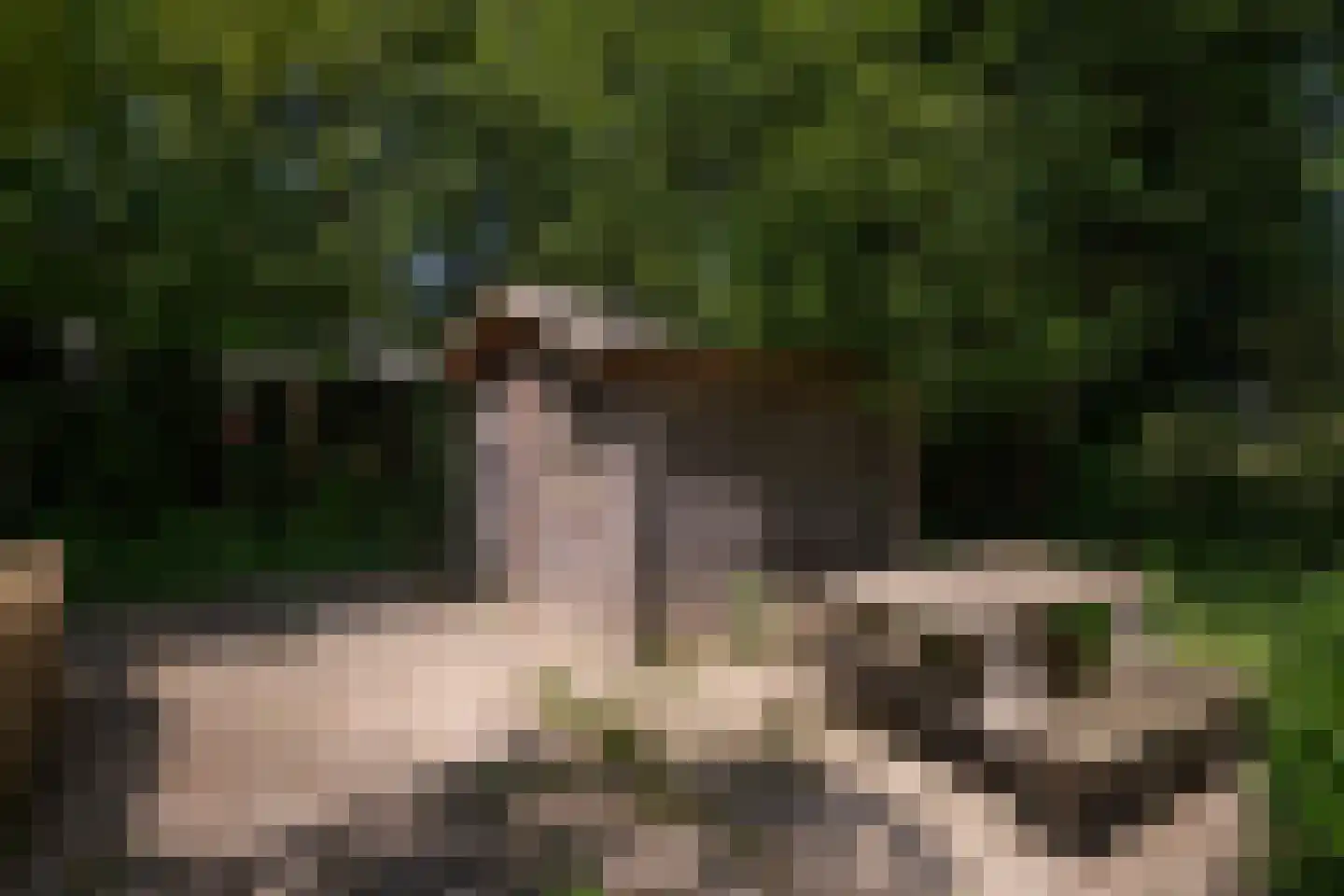 Roggeslootweg 599 De Cocksdorp thumbnail 44