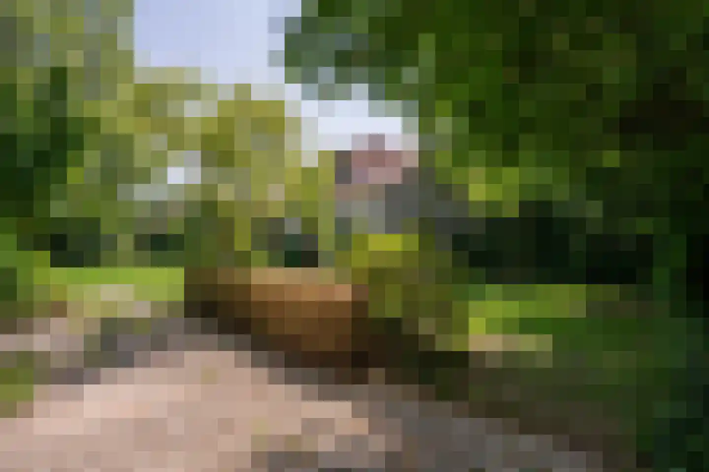 Roggeslootweg 599 De Cocksdorp thumbnail 46