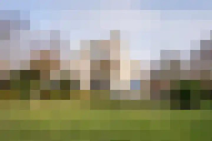 Roggeslootweg 602 De Cocksdorp thumbnail 29