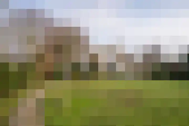Roggeslootweg 602 De Cocksdorp thumbnail 30