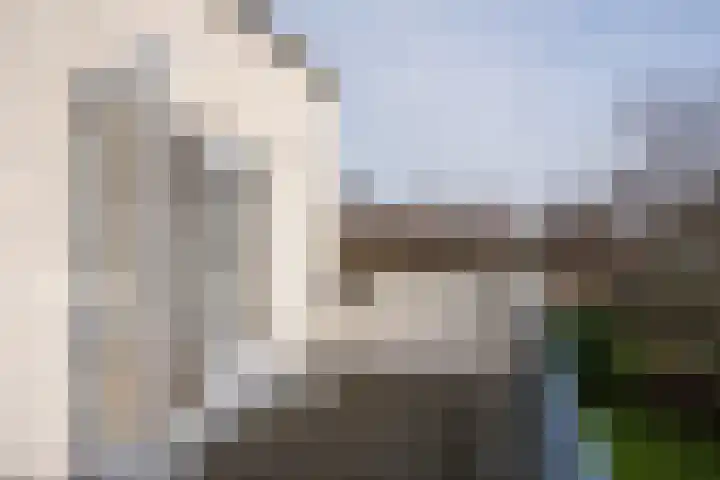 Roggeslootweg 602 De Cocksdorp thumbnail 44