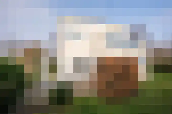 Roggeslootweg 602 De Cocksdorp thumbnail 53
