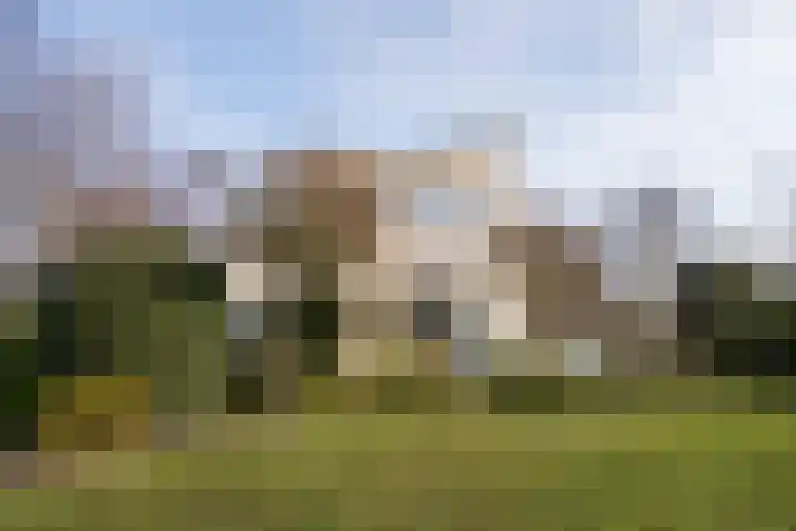 Roggeslootweg 602 De Cocksdorp thumbnail 56