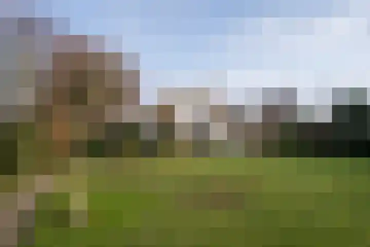 Roggeslootweg 602 De Cocksdorp thumbnail 57