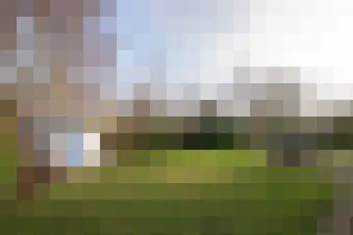 Roggeslootweg 602 De Cocksdorp thumbnail 59