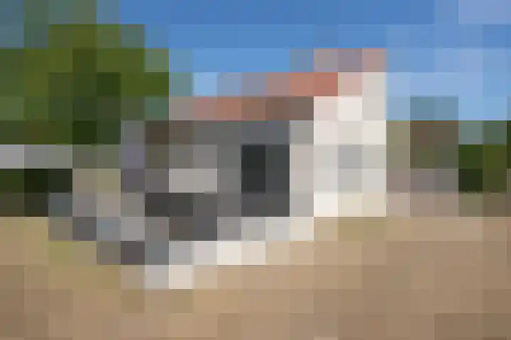 Roggeslootweg 612 De Cocksdorp thumbnail 38