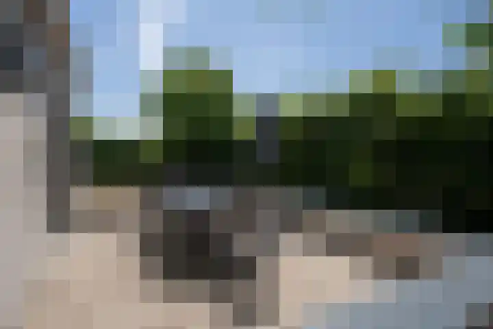 Roggeslootweg 612 De Cocksdorp thumbnail 39