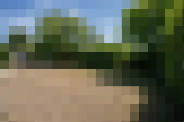 Roggeslootweg 612 De Cocksdorp thumbnail 41