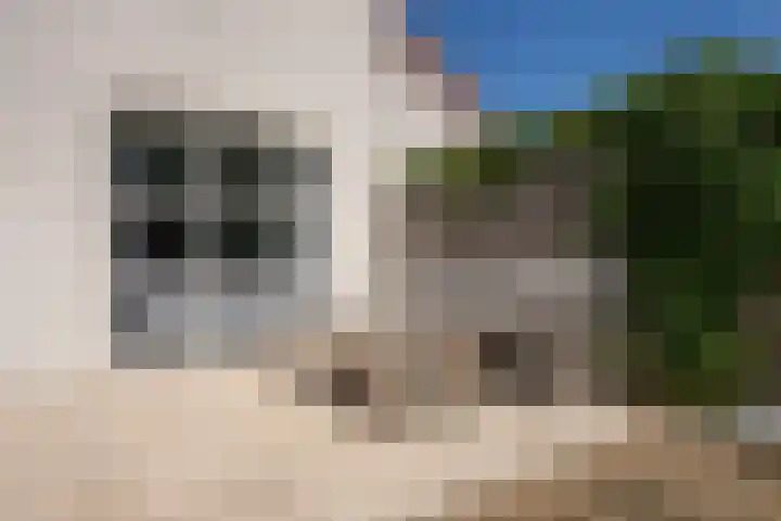 Roggeslootweg 612 De Cocksdorp thumbnail 43