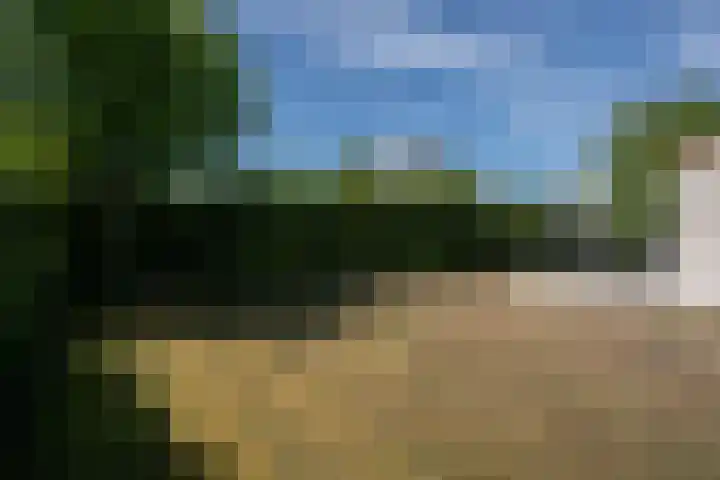 Roggeslootweg 612 De Cocksdorp thumbnail 44