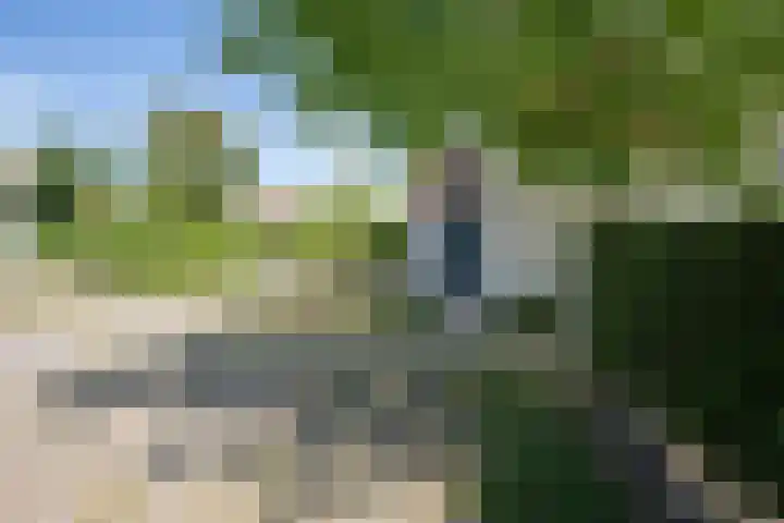Roggeslootweg 612 De Cocksdorp thumbnail 47
