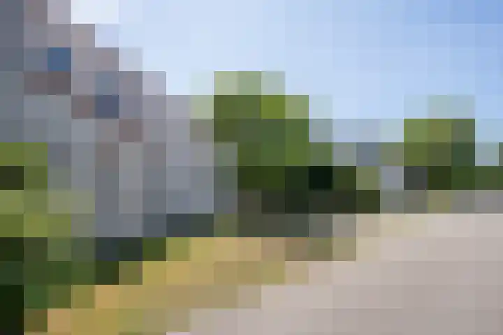 Roggeslootweg 612 De Cocksdorp thumbnail 50