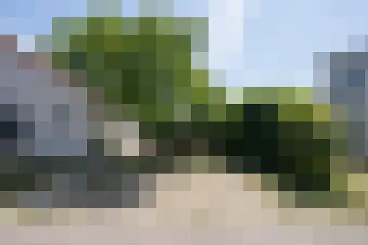 Roggeslootweg 612 De Cocksdorp thumbnail 51