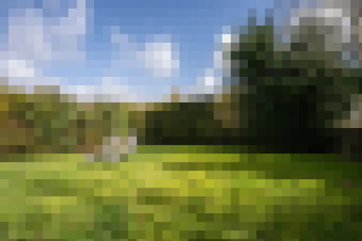 Roggeslootweg 628 De Cocksdorp thumbnail 55
