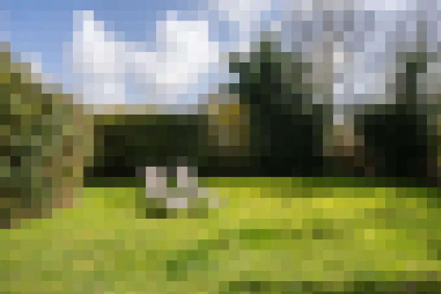 Roggeslootweg 628 De Cocksdorp thumbnail 62