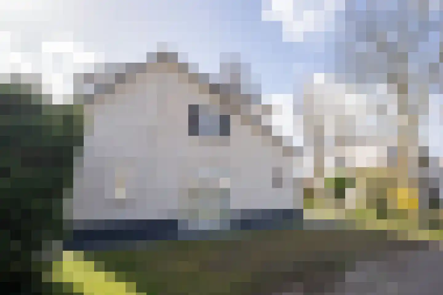 Roggeslootweg 628 De Cocksdorp thumbnail 68