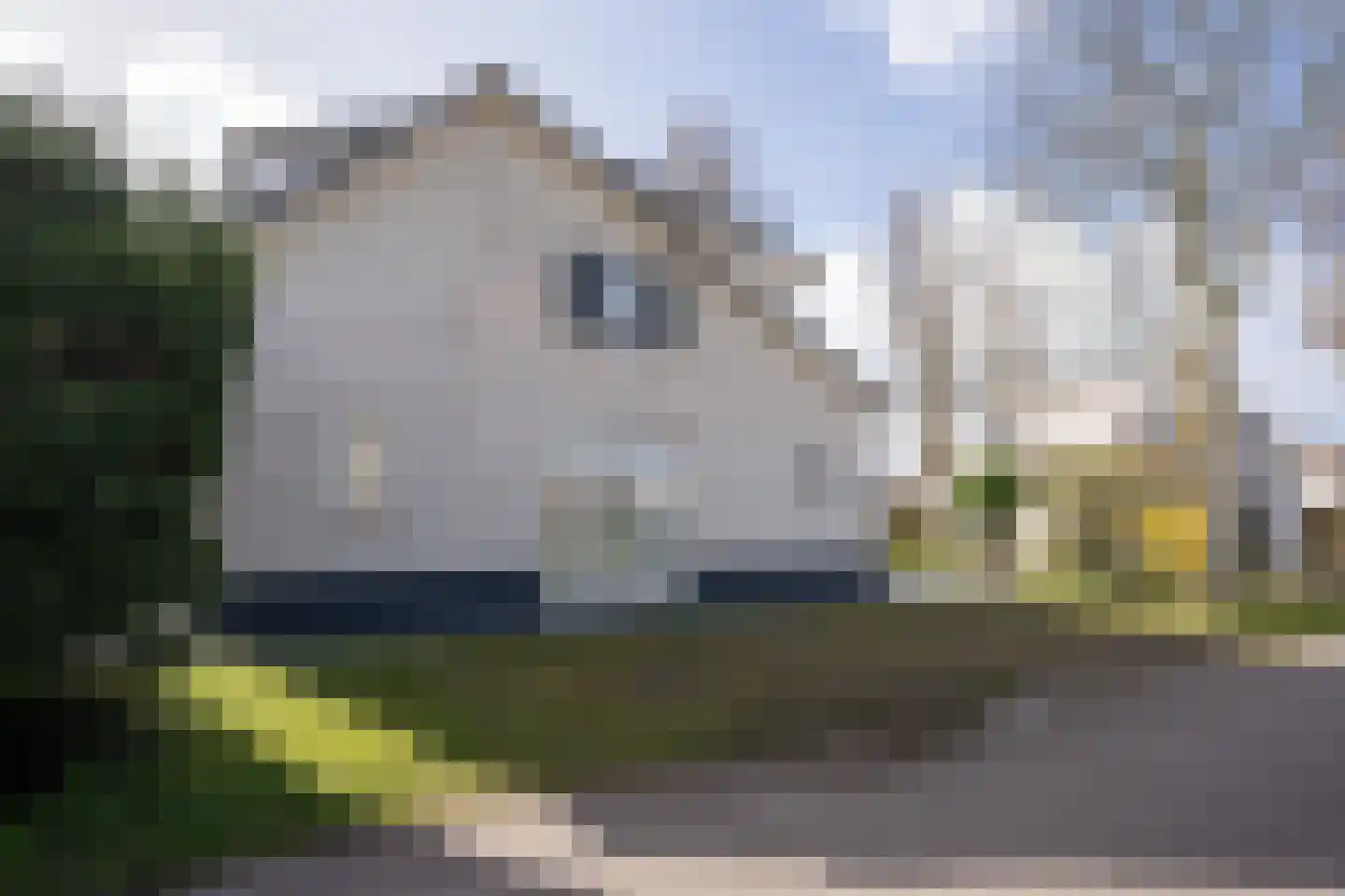 Roggeslootweg 628 De Cocksdorp thumbnail 69