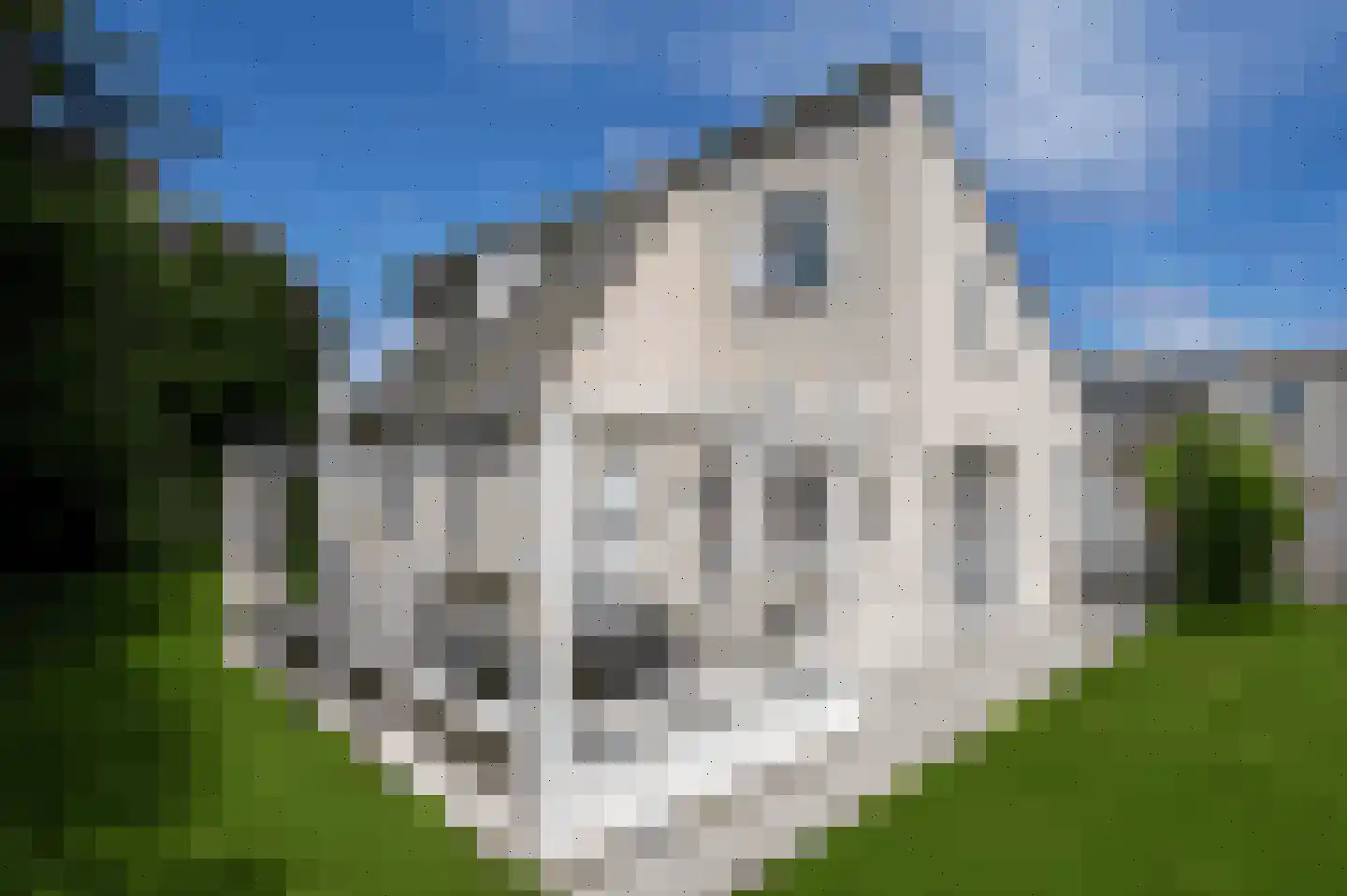 Roggeslootweg 639 De Cocksdorp thumbnail 60