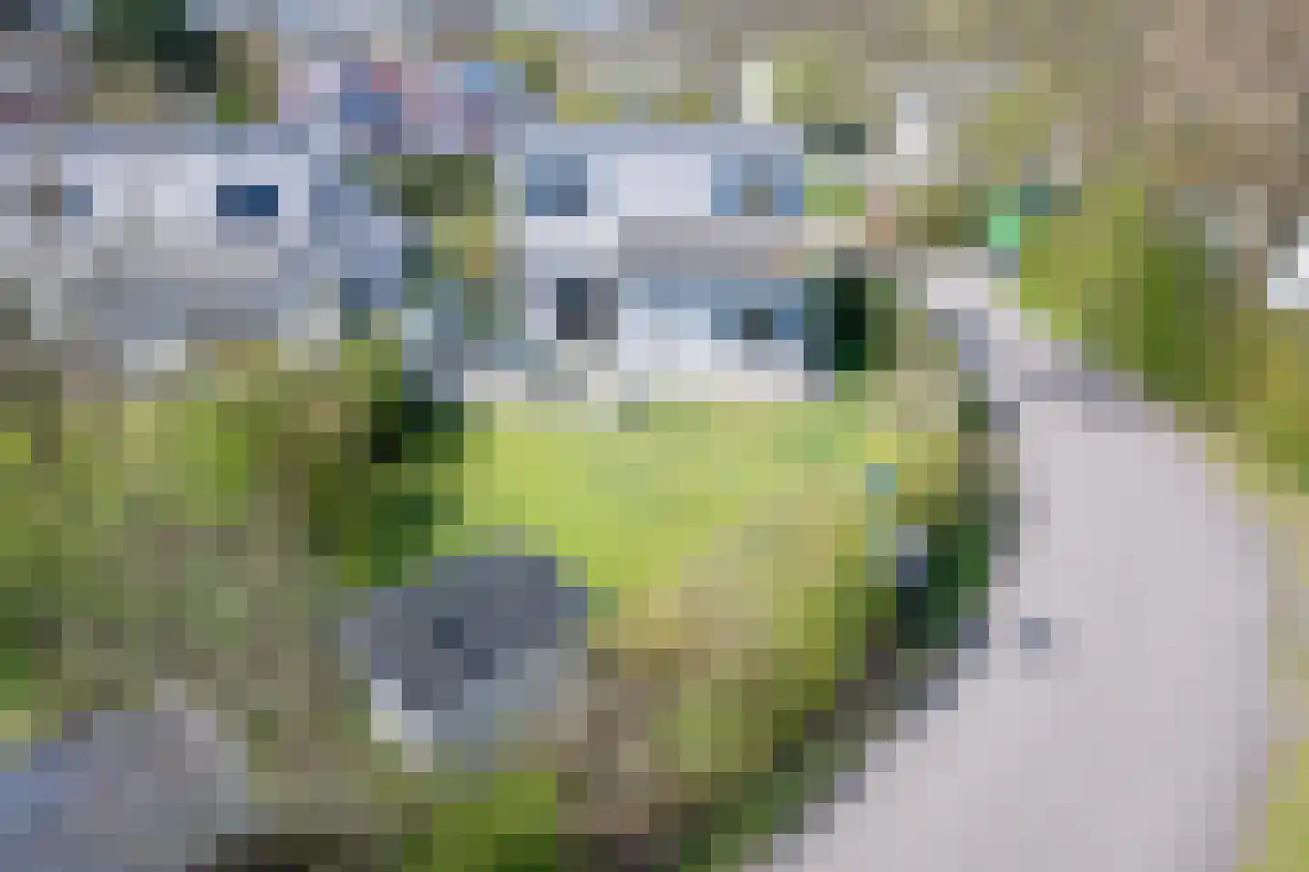 Roggeslootweg 656 De Cocksdorp thumbnail 33