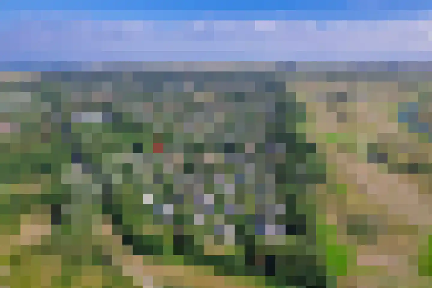 Roggeslootweg 656 De Cocksdorp thumbnail 45