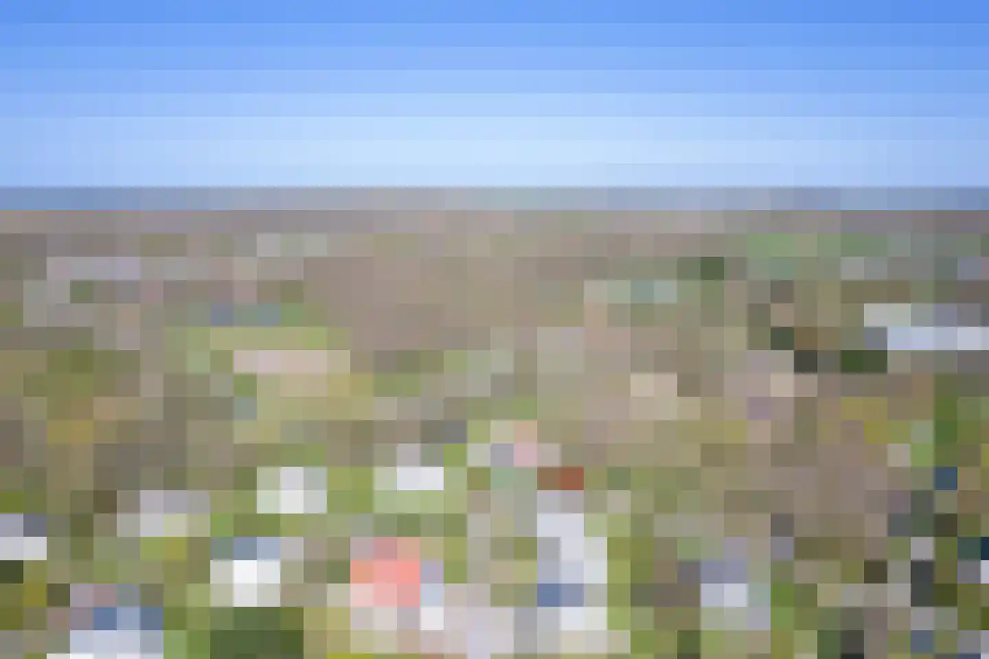 Roggeslootweg 656 De Cocksdorp thumbnail 48