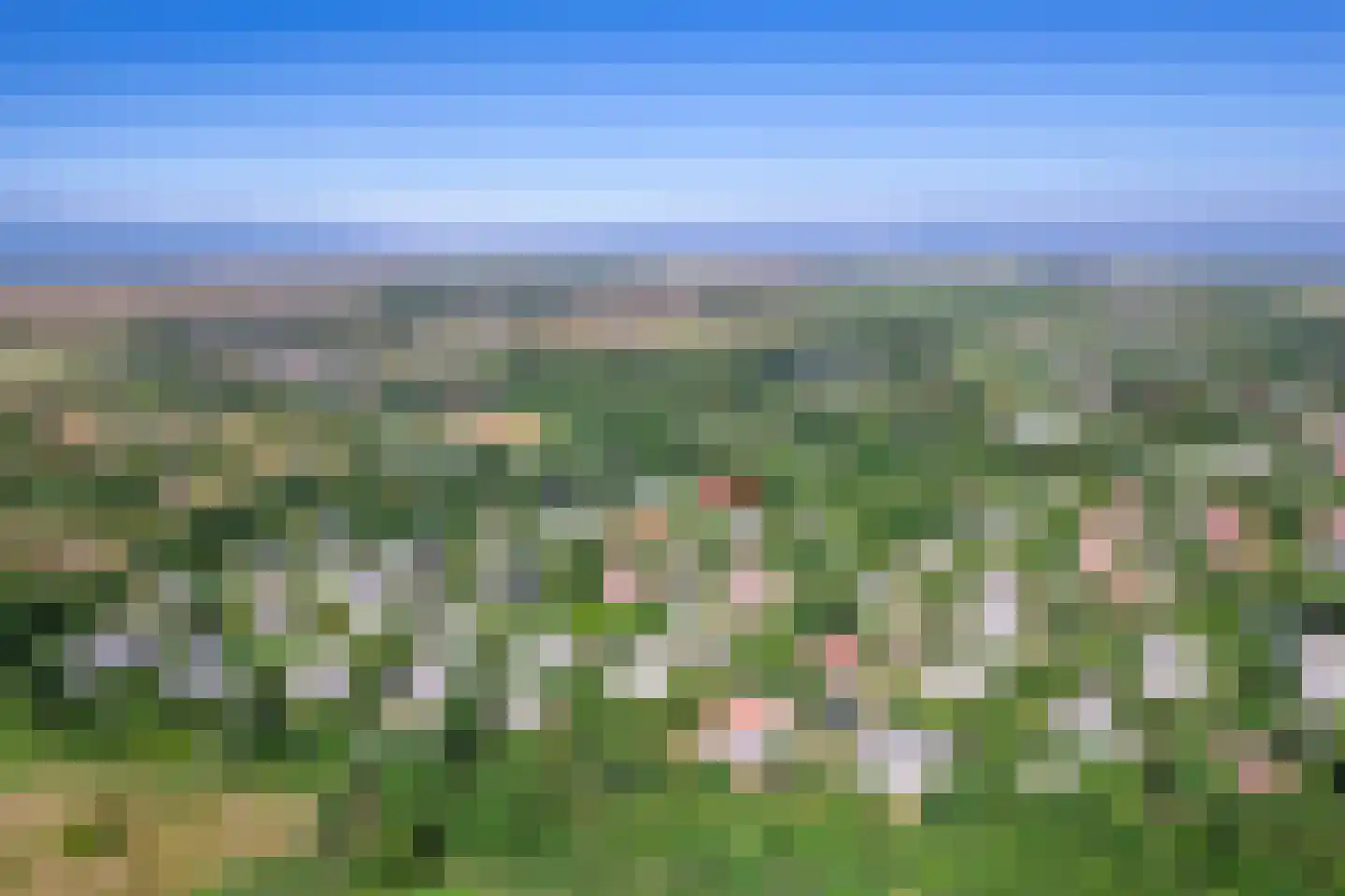 Roggeslootweg 656 De Cocksdorp thumbnail 6