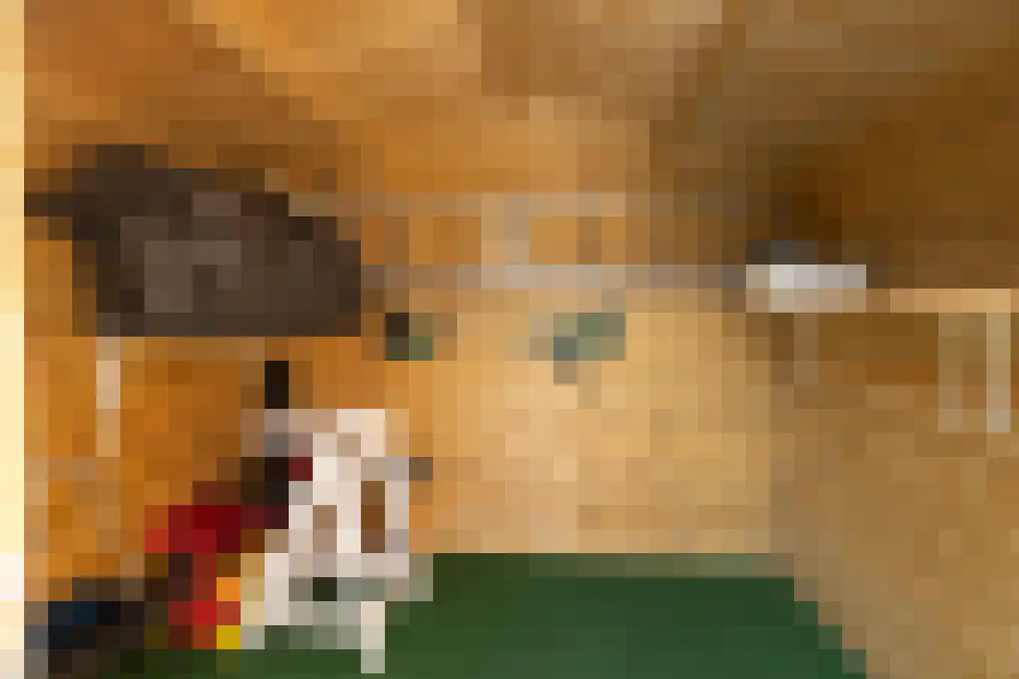 Roggeslootweg 657 De Cocksdorp thumbnail 32
