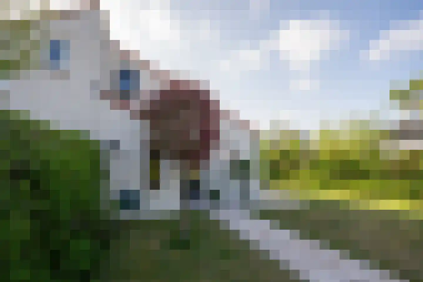 Roggeslootweg 657 De Cocksdorp thumbnail 33