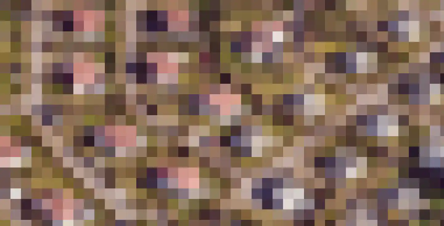 Roggeslootweg 657 De Cocksdorp thumbnail 37