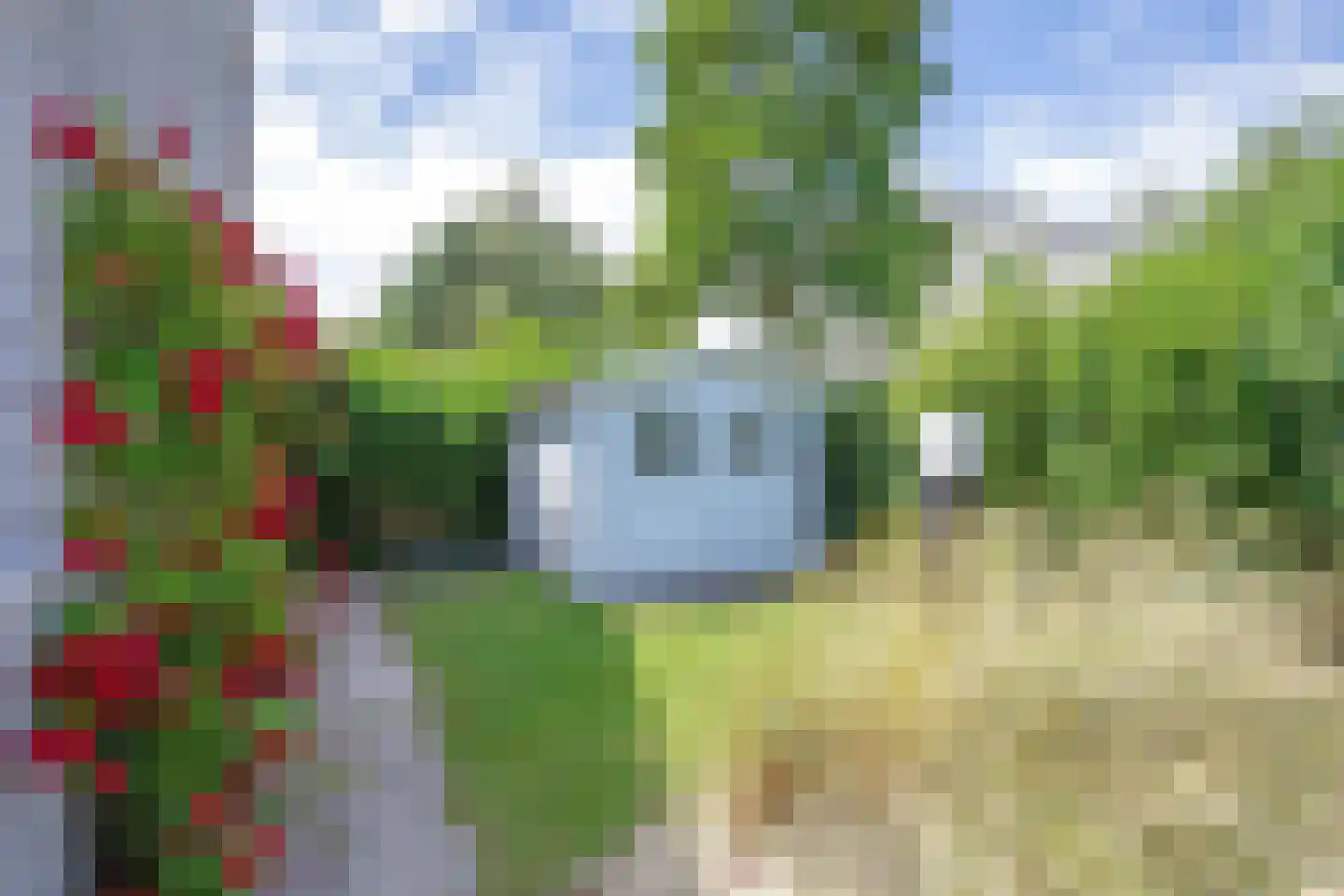 Roggeslootweg 658 De Cocksdorp thumbnail 29