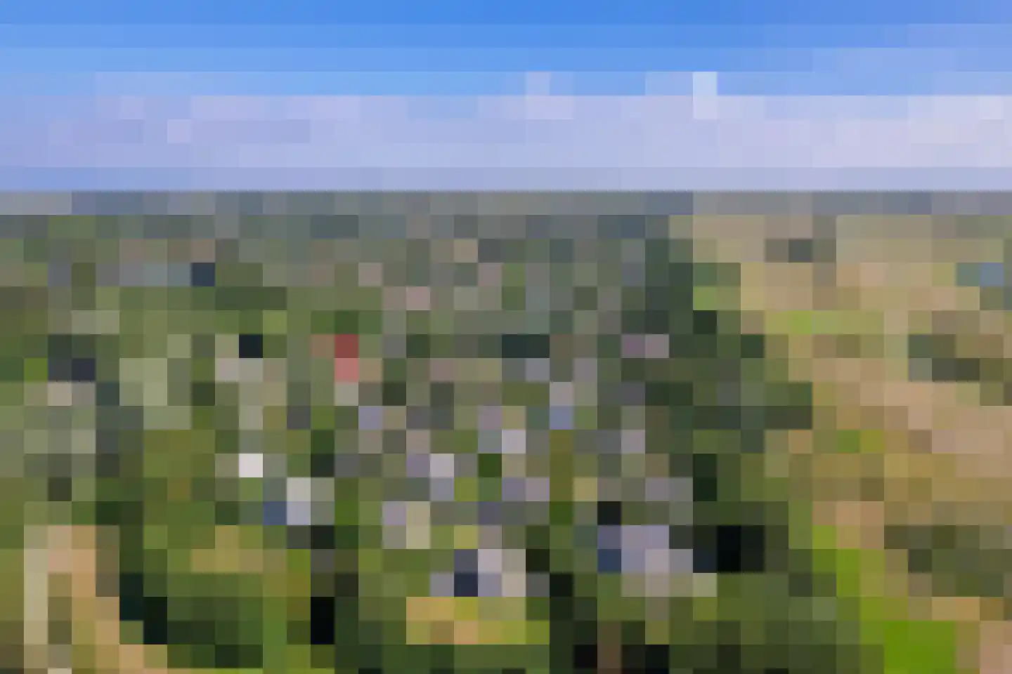 Roggeslootweg 658 De Cocksdorp thumbnail 32