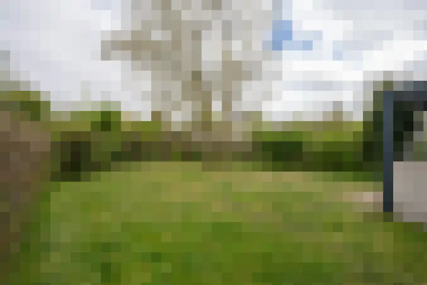 Roggeslootweg 668 De Cocksdorp thumbnail 36