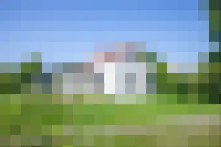 Roggeslootweg 672 De Cocksdorp thumbnail 33