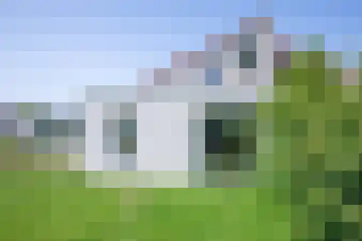 Roggeslootweg 672 De Cocksdorp thumbnail 34