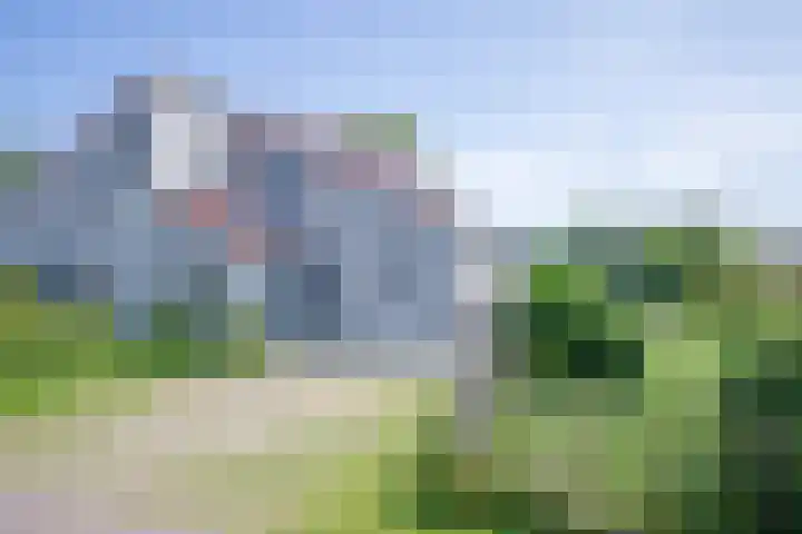 Roggeslootweg 672 De Cocksdorp thumbnail 35