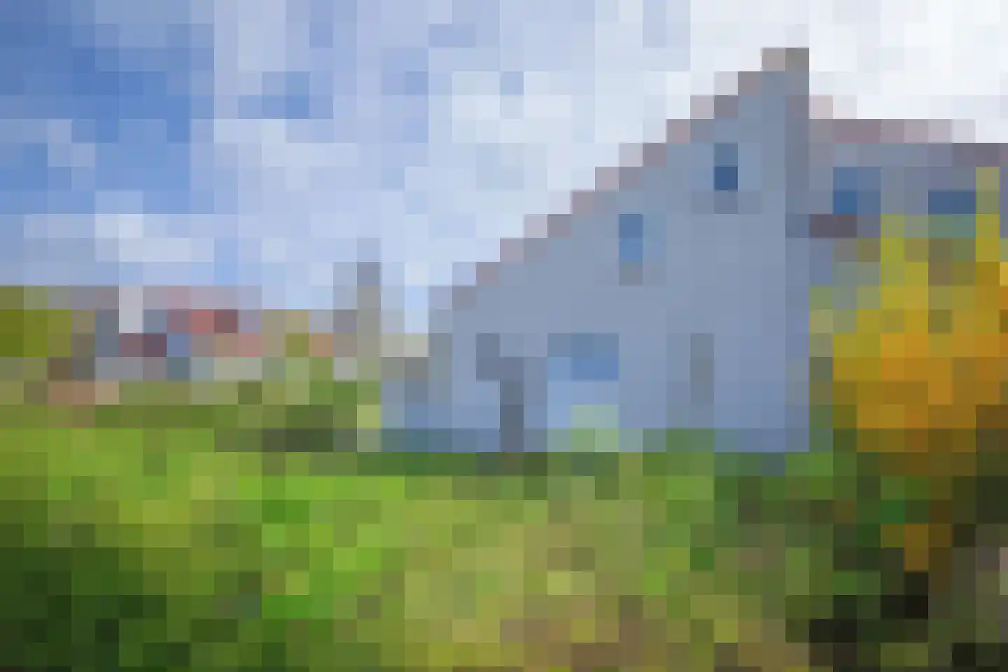 Roggeslootweg 687 De Cocksdorp thumbnail 36