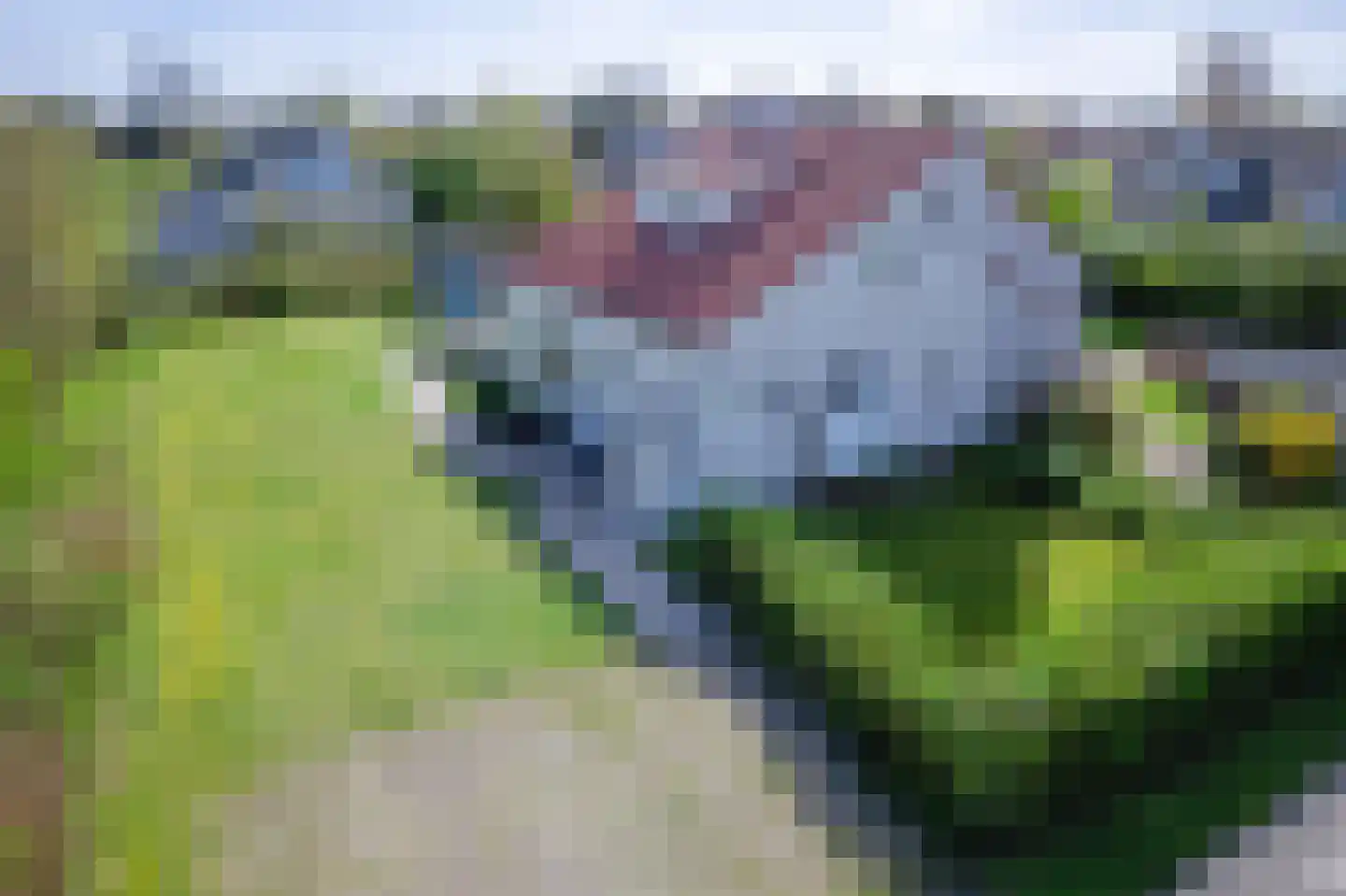 Roggeslootweg 687 De Cocksdorp thumbnail 39