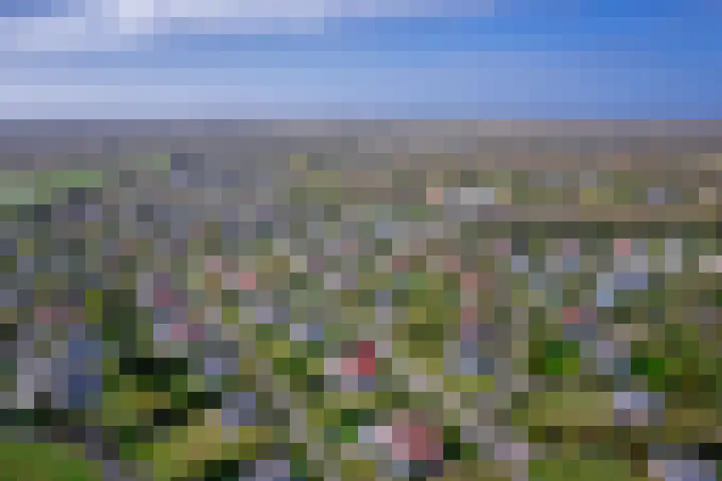 Roggeslootweg 687 De Cocksdorp thumbnail 4