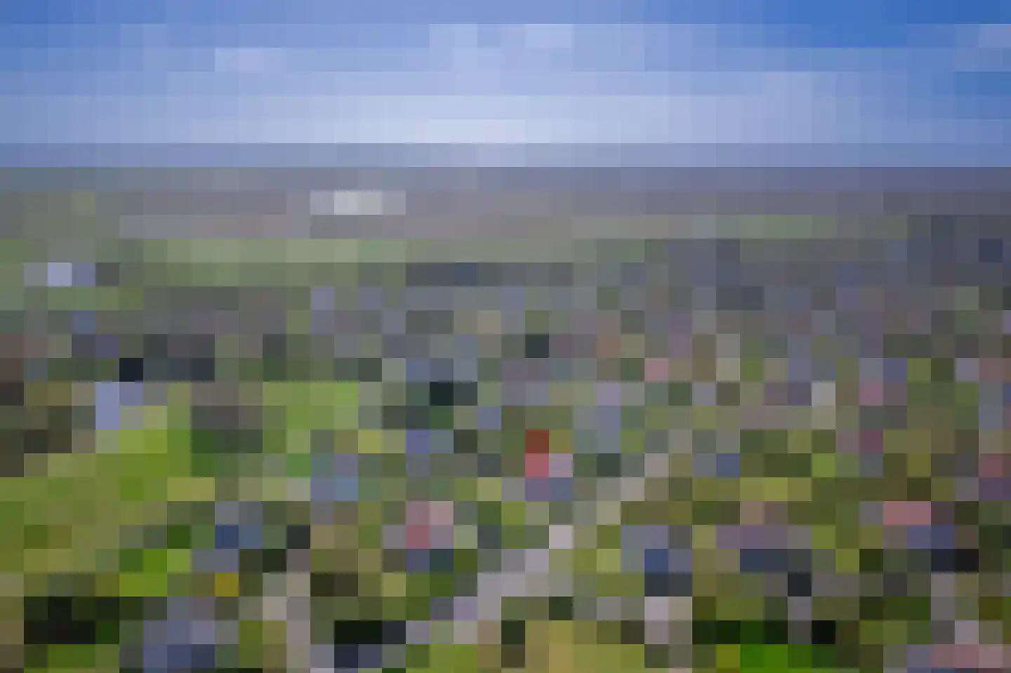 Roggeslootweg 687 De Cocksdorp thumbnail 41