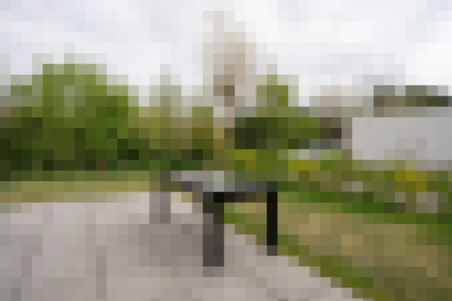 Roggeslootweg 693 De Cocksdorp thumbnail 39