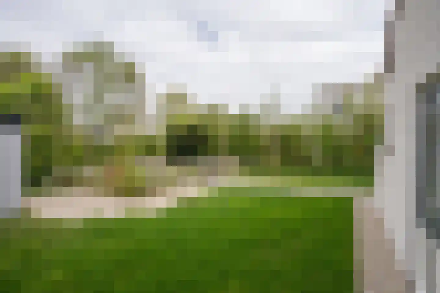 Roggeslootweg 693 De Cocksdorp thumbnail 44