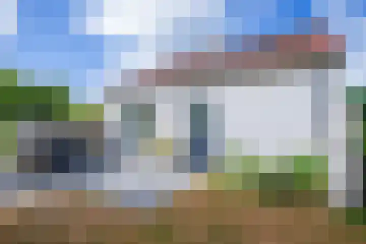 Roggeslootweg 694 De Cocksdorp thumbnail 27