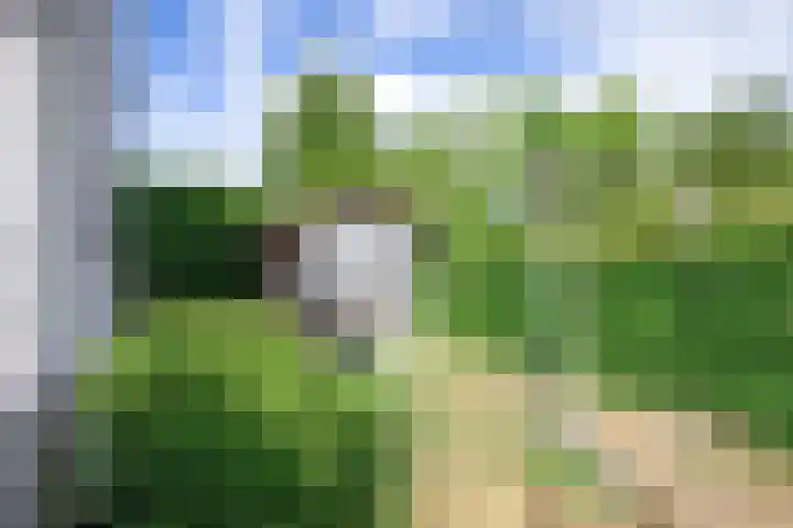 Roggeslootweg 694 De Cocksdorp thumbnail 28